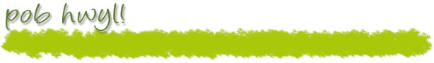 pob hwyl